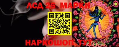 крисы Чебоксары