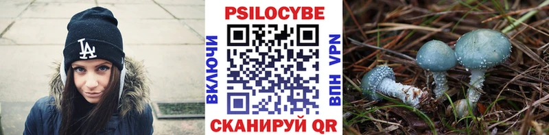 Галлюциногенные грибы прущие грибы дарнет шоп Родники