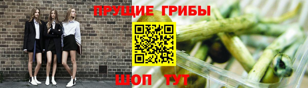 Псилоцибиновые грибы Psilocybine cubensis  Галлюциногенные грибы мухоморы  Родники  сколько стоит  Вход с VPN 