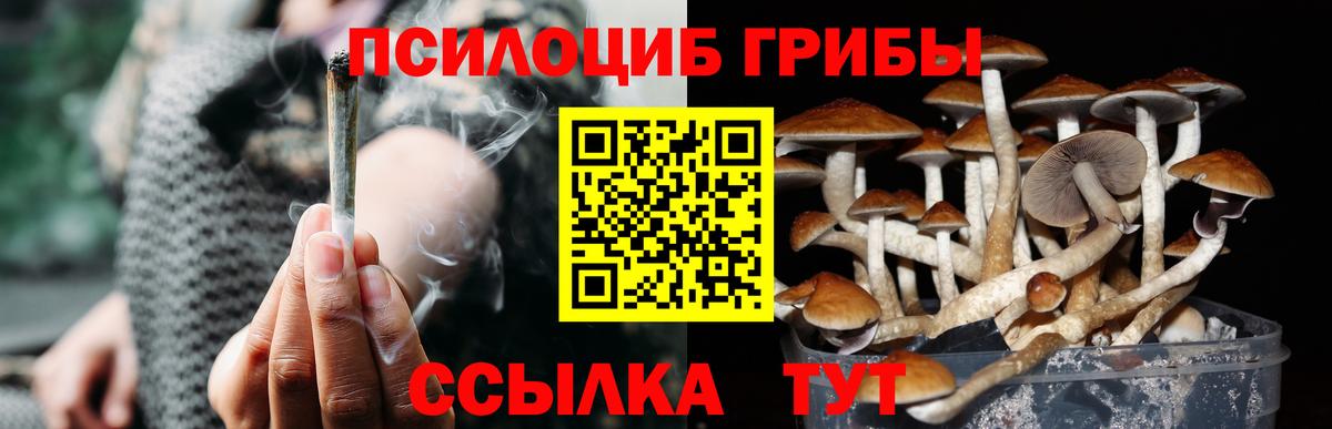 Галлюциногенные грибы Psilocybine cubensis Родники